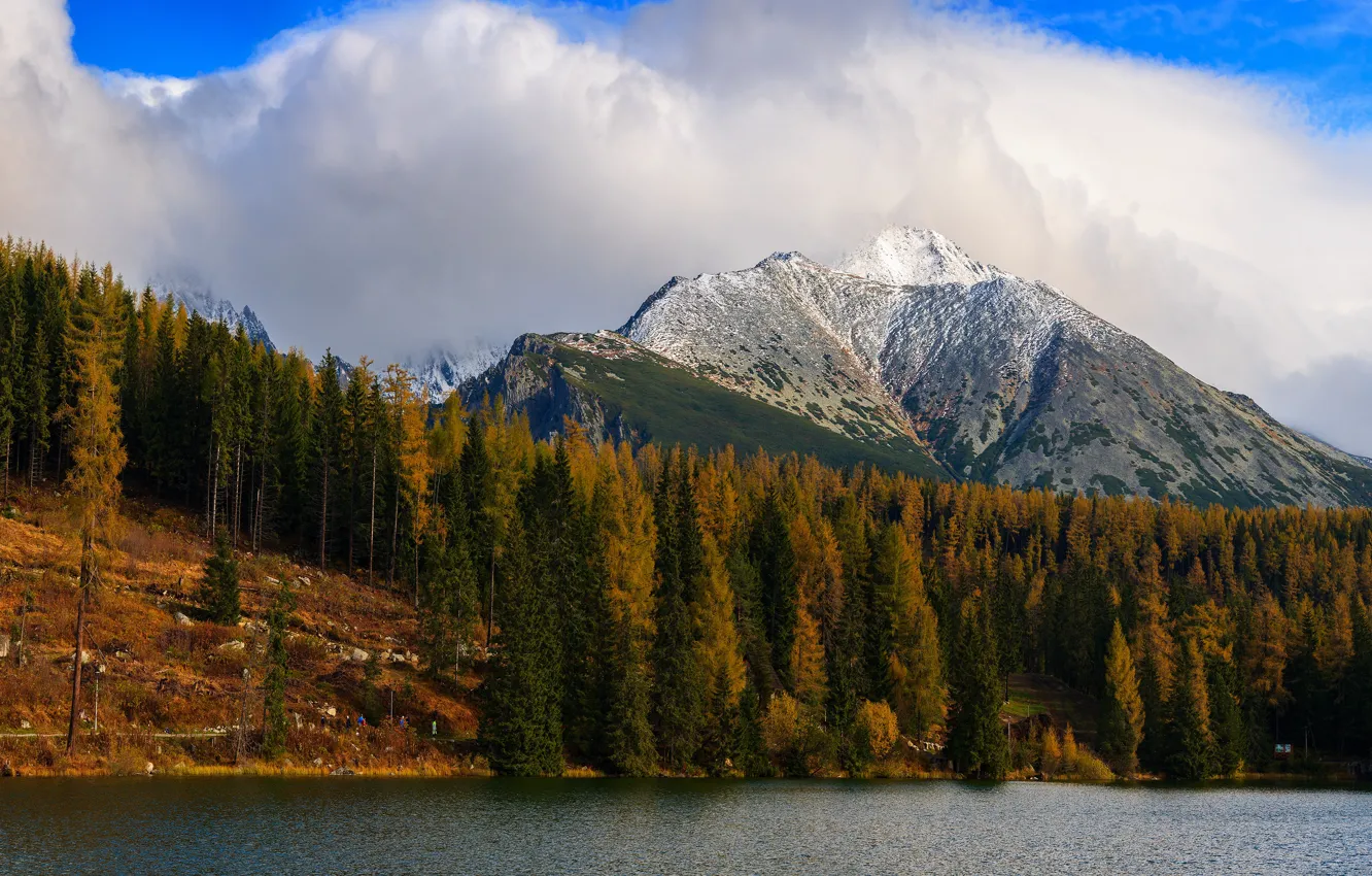 Фото обои осень, лес, облака, снег, деревья, горы, природа, синева