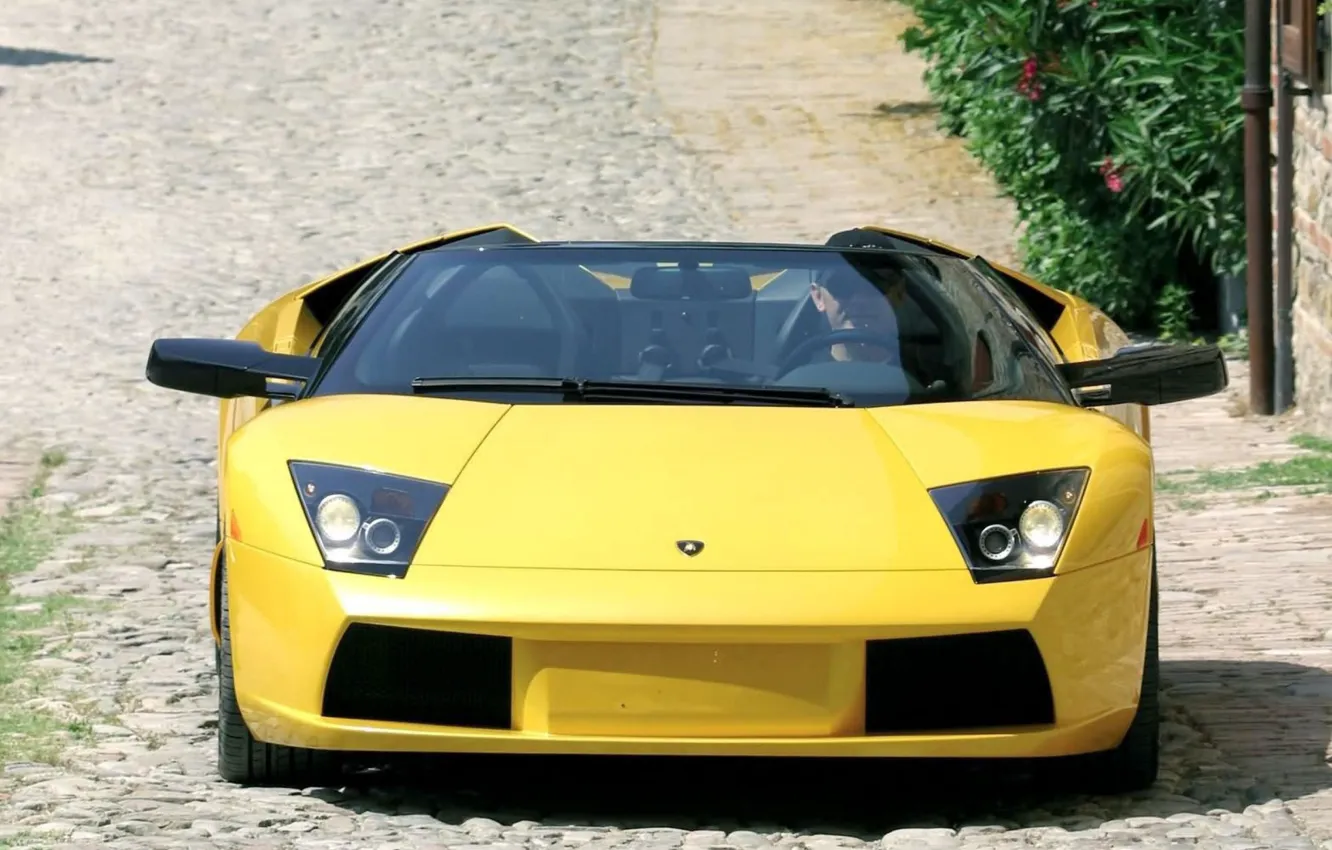 Фото обои Lamborghini, yellow, sport car, front view