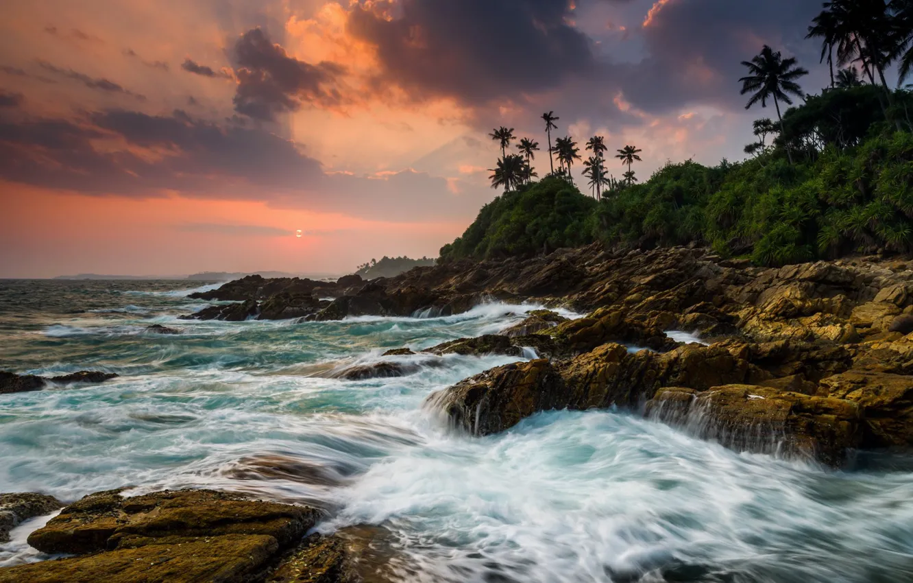 Фото обои пальмы, океан, побережье, вечер, Sri Lanka, Rocky shoreline at Tangalle