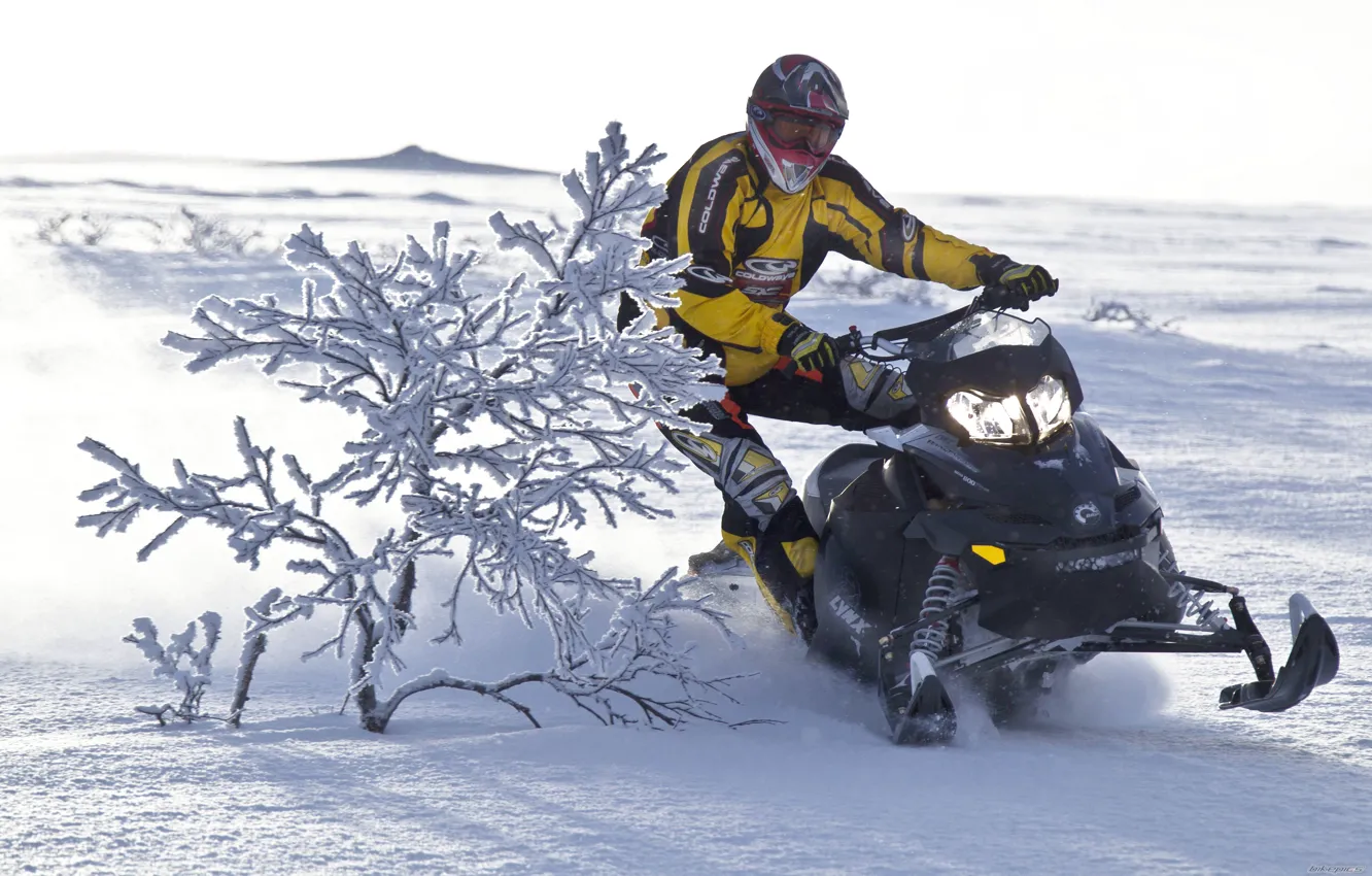 Фото обои Снег, Кустарник, Снегоход, Snowmobile, Ski-Doo