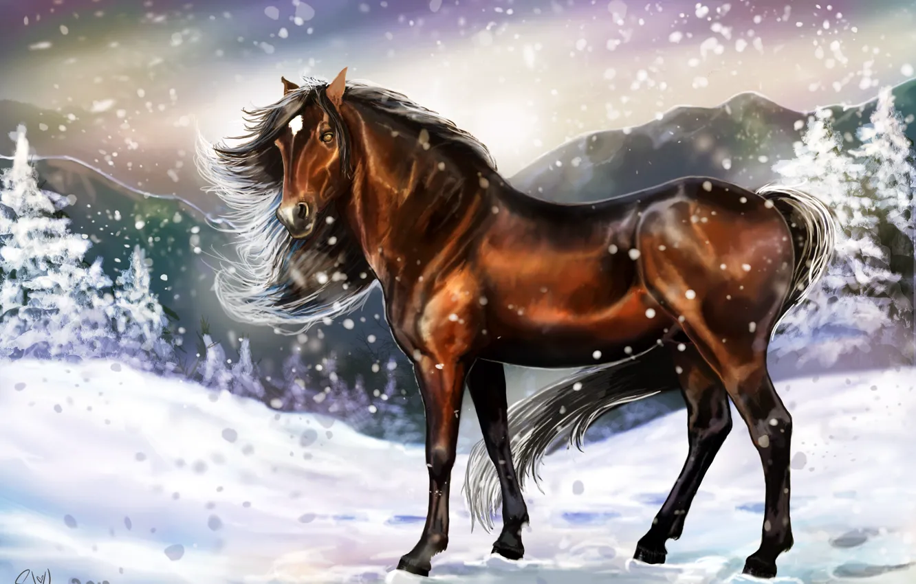 Фото обои холод, зима, взгляд, снег, следы, животное, лошадь, арт