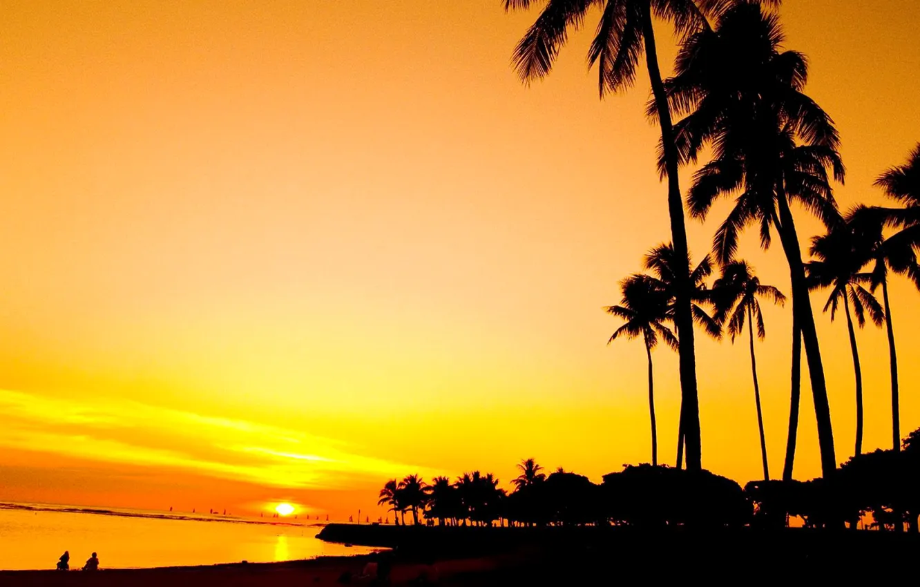 Фото обои море, небо, закат, тропики, пальмы