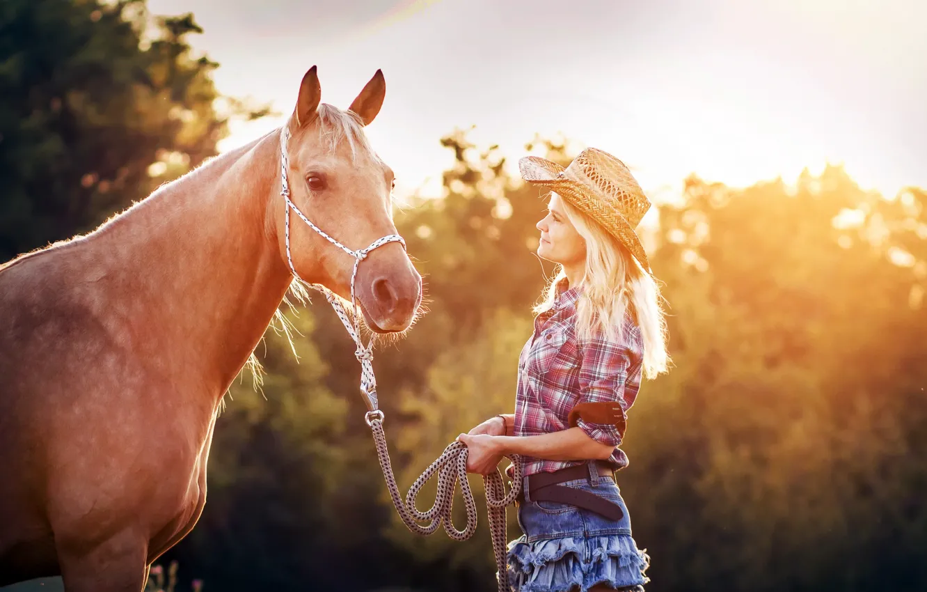 Фото обои девушка, свет, конь