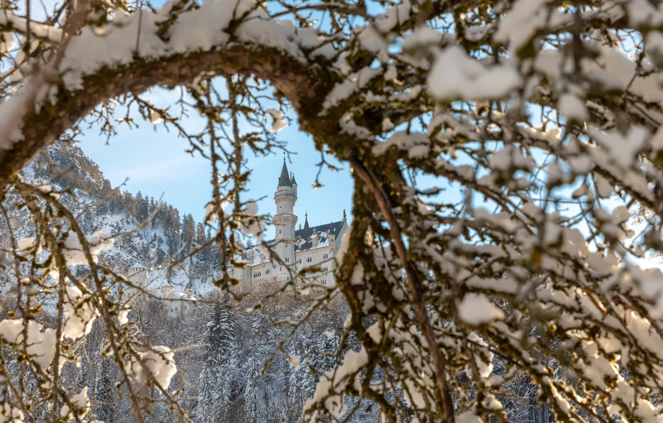 Фото обои зима, снег, пейзаж, горы, ветки, природа, замок, Германия