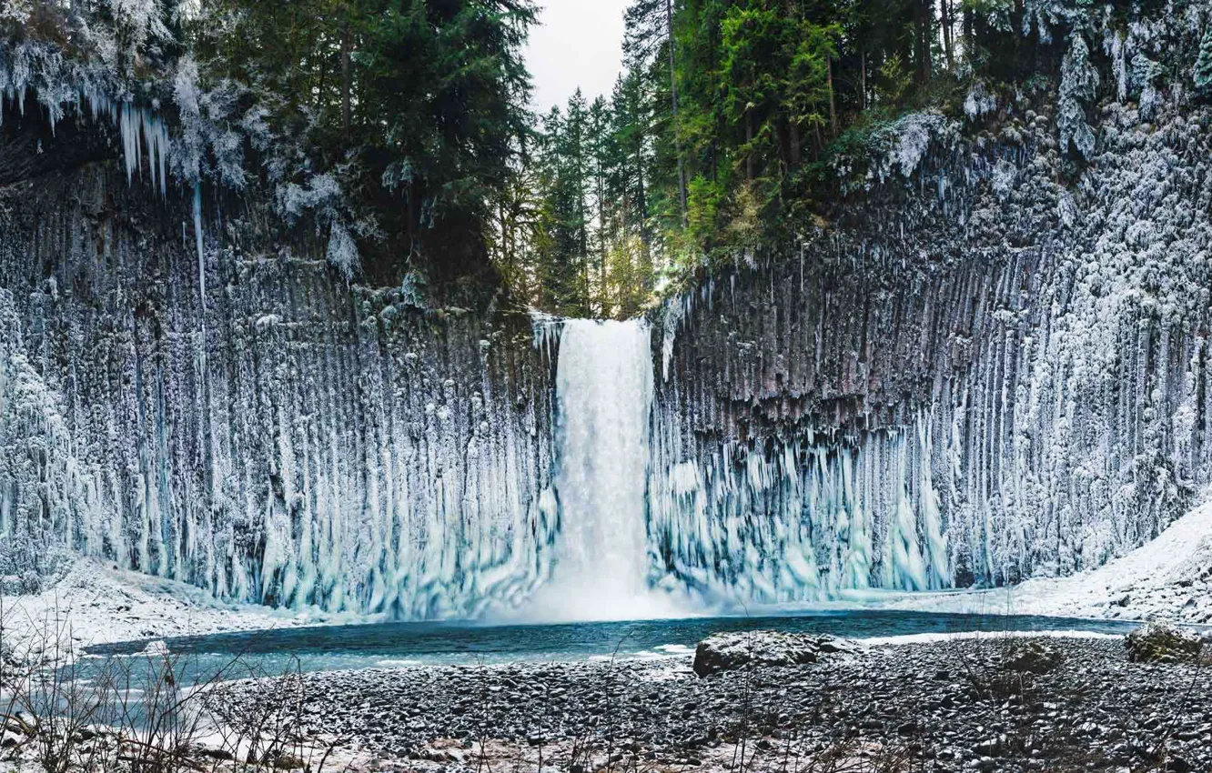 Фото обои зима, лёд, Орегон, США, водопад Абиква