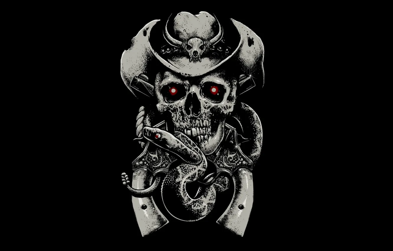 Фото обои фон, страх, череп, змея, шляпа, skull, револьверы