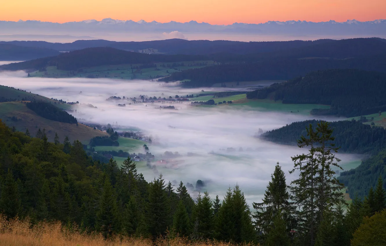 Фото обои деревья, горы, туман, долина, Альпы