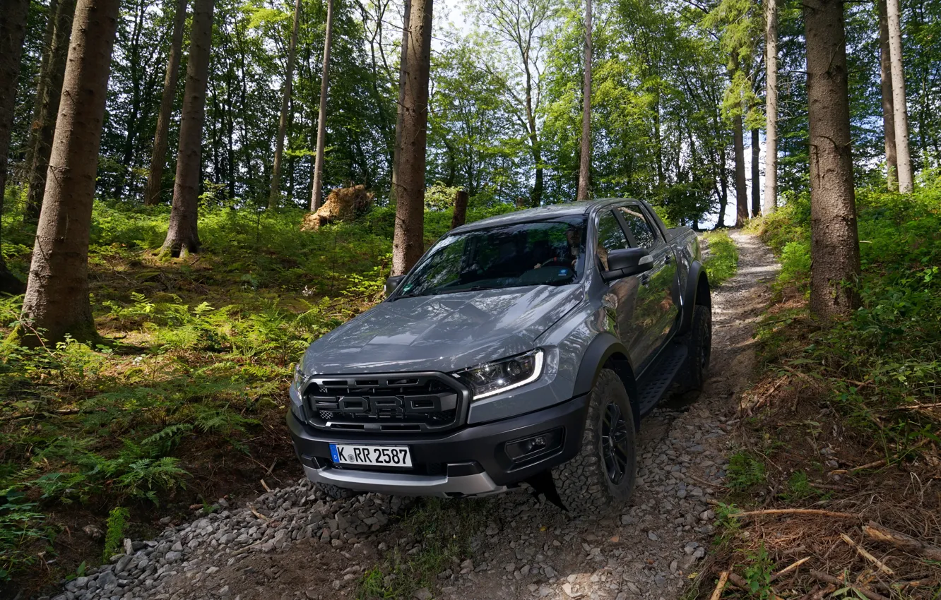 Фото обои лес, деревья, серый, Ford, склон, Raptor, пикап, Ranger