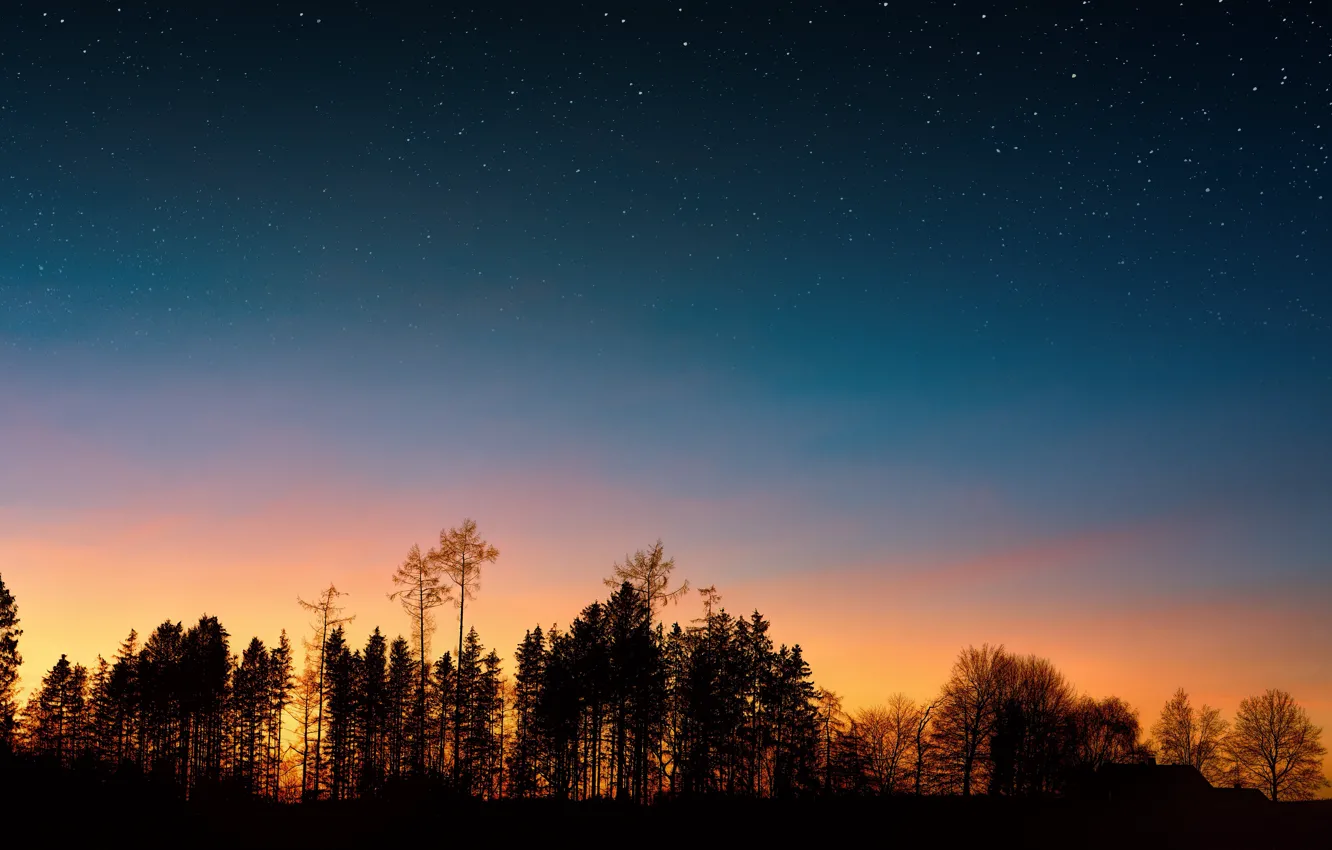 Фото обои Закат, Небо, Природа, Вечер, Звезды, Деревья, Силуэт, Пейзаж