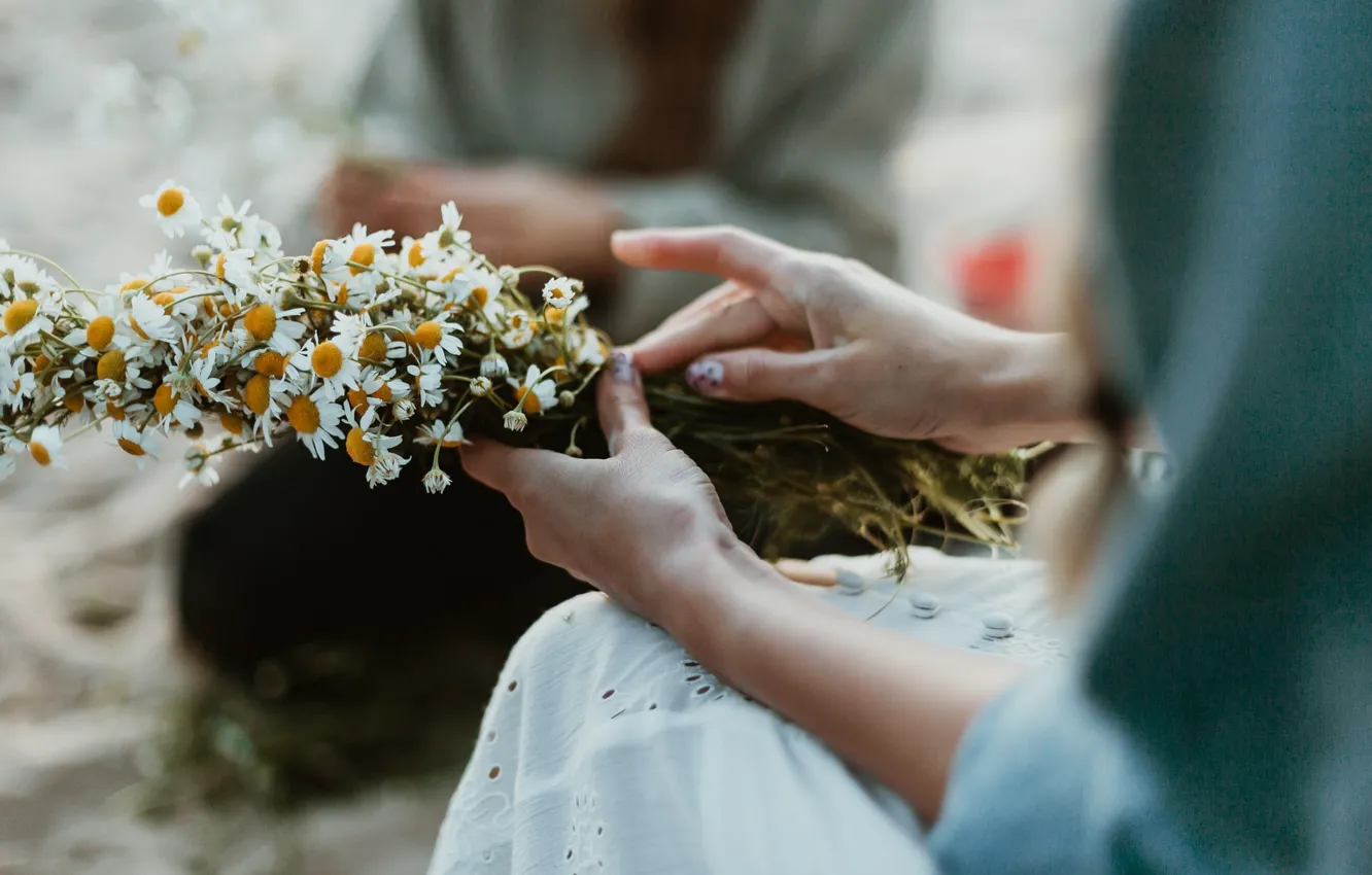 Фото обои лето, девушка, цветы, ромашки, руки, боке