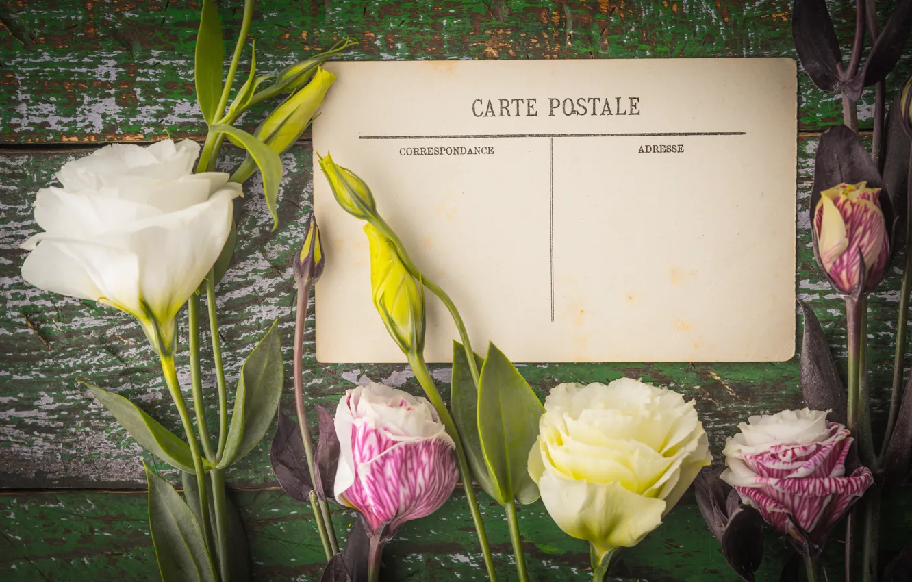 Фото обои цветы, букет, открытка, эустома