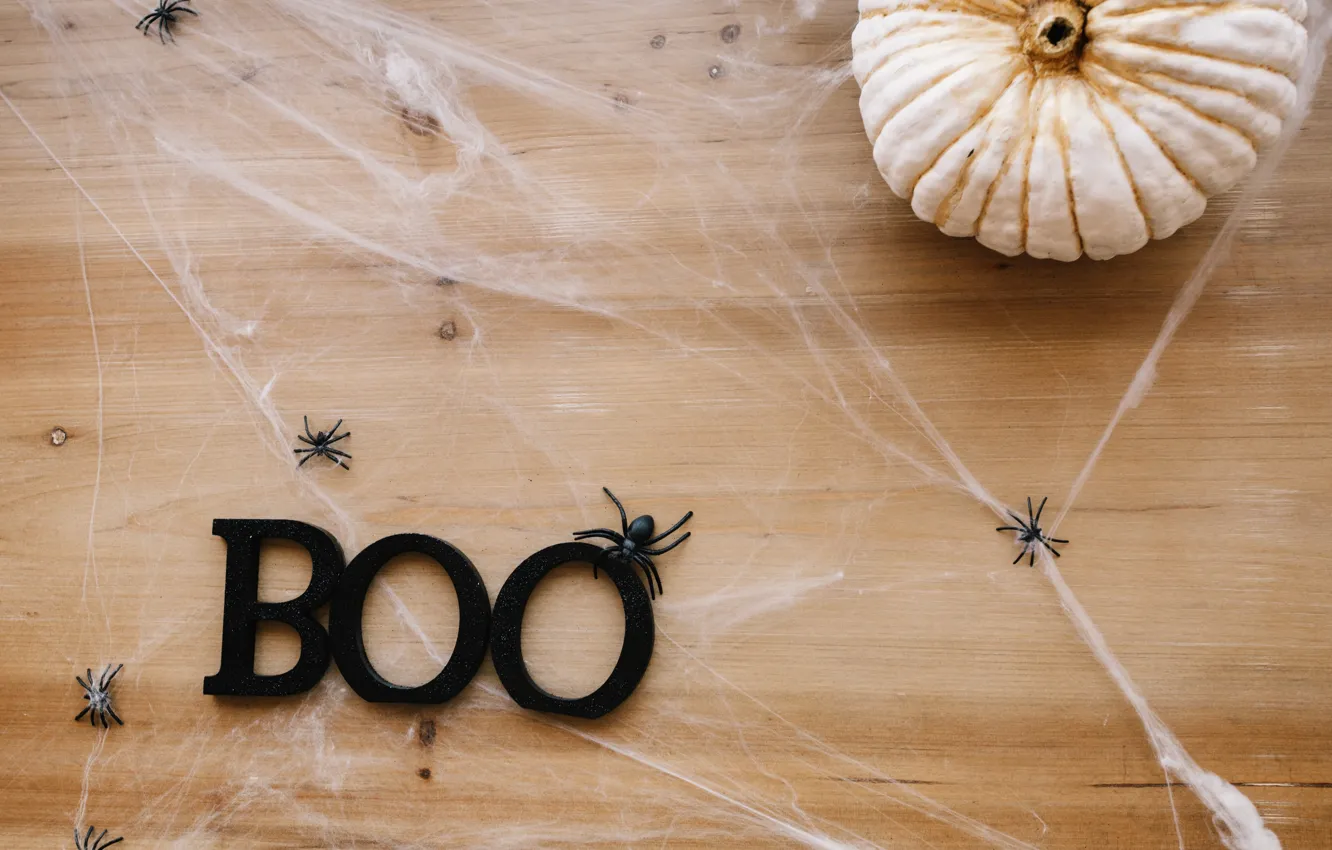 Фото обои праздник, паутина, паук, тыква, хэллоуин