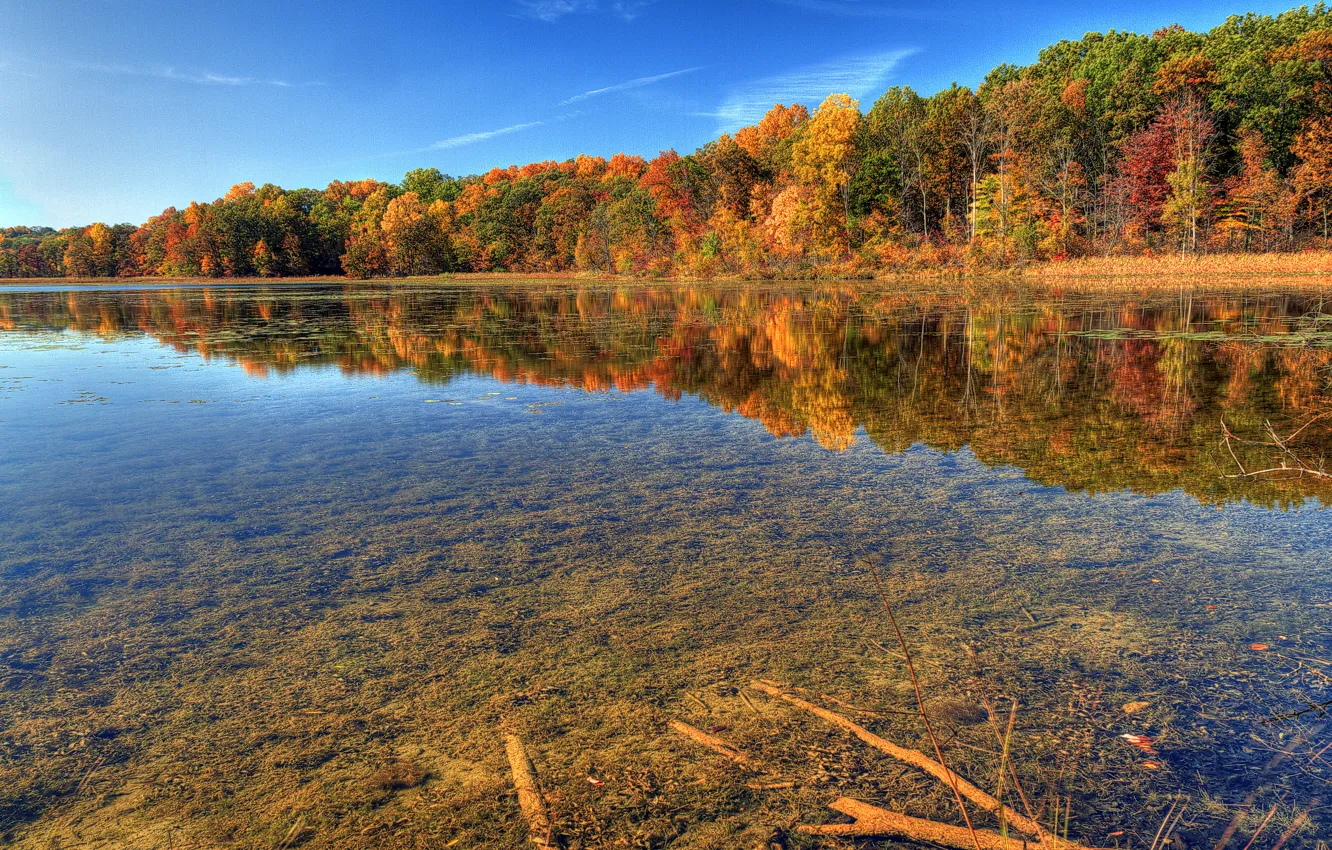 Фото обои осень, прозрачность, природа, река