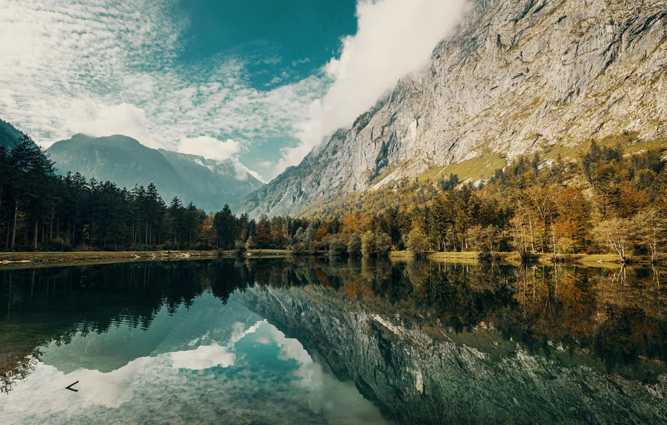 Фото обои sky, trees, sea, nature, wood, water, clouds, mountain