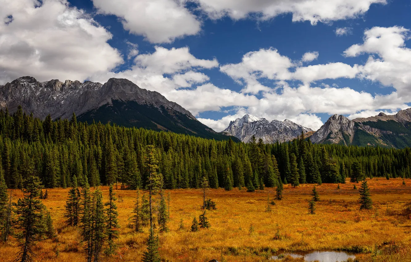 Фото обои осень, лес, облака, горы, Alberta, Canada, Peter Lougheed Provincial Park