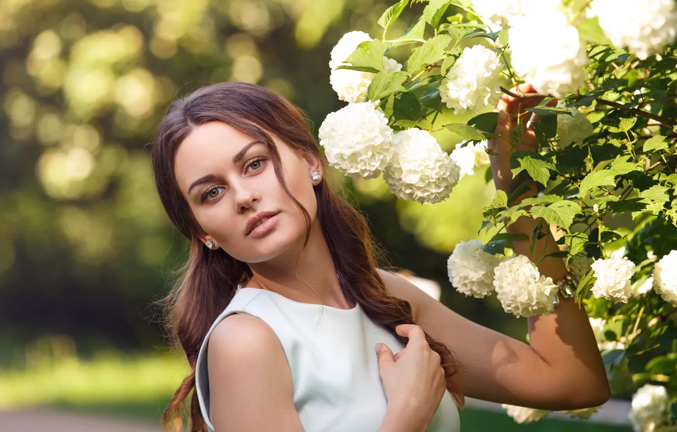 Фото обои лето, девушка, цветы, природа, куст, платье, шатенка, калина