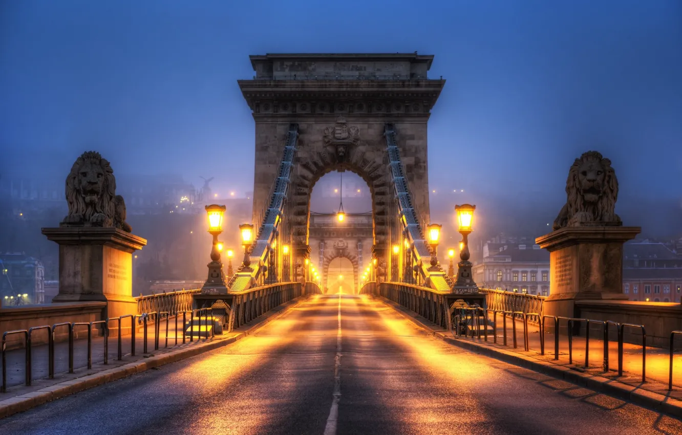 Фото обои ночь, мост, фонари, арка, львы
