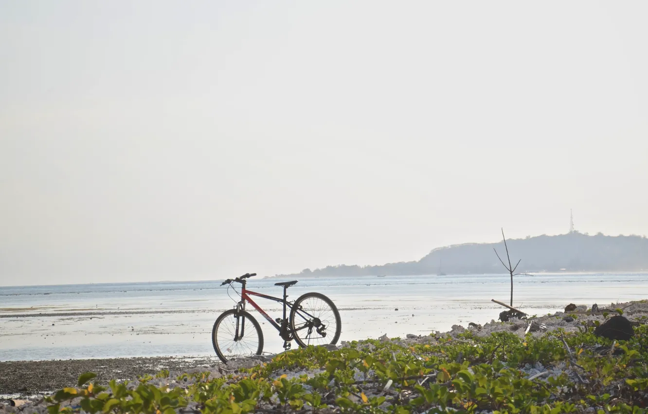 Фото обои море, природа, велосипед, берег, привал, mountain bike