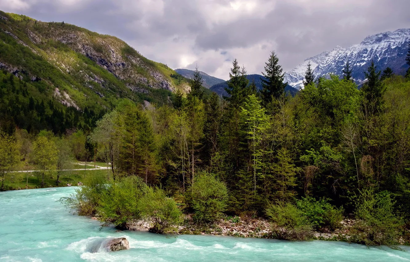 Фото обои лес, деревья, горы, река, камни, течение, Словения, Bovec