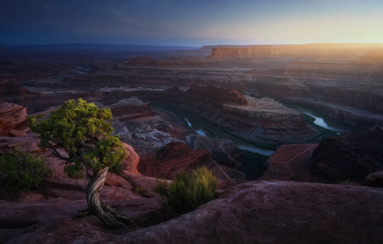 Фото обои река, дерево, скалы, каньон, США