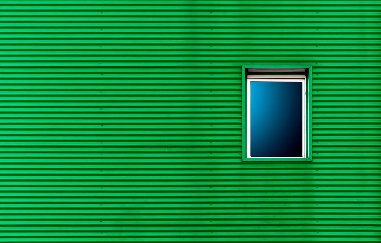 Фото обои стена, окно, зелёный