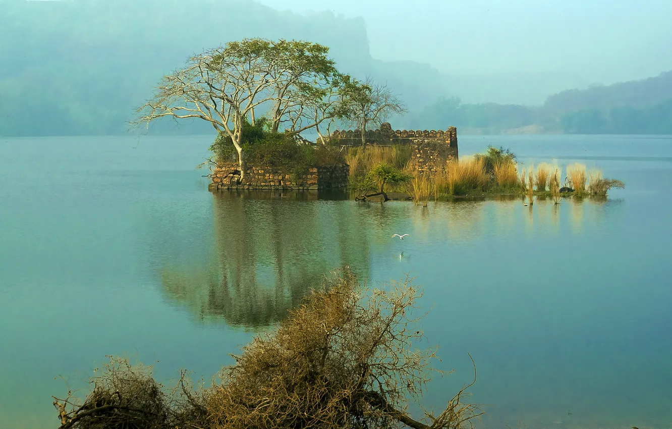 Фото обои деревья, горы, туман, озеро, остров, дымка, руины