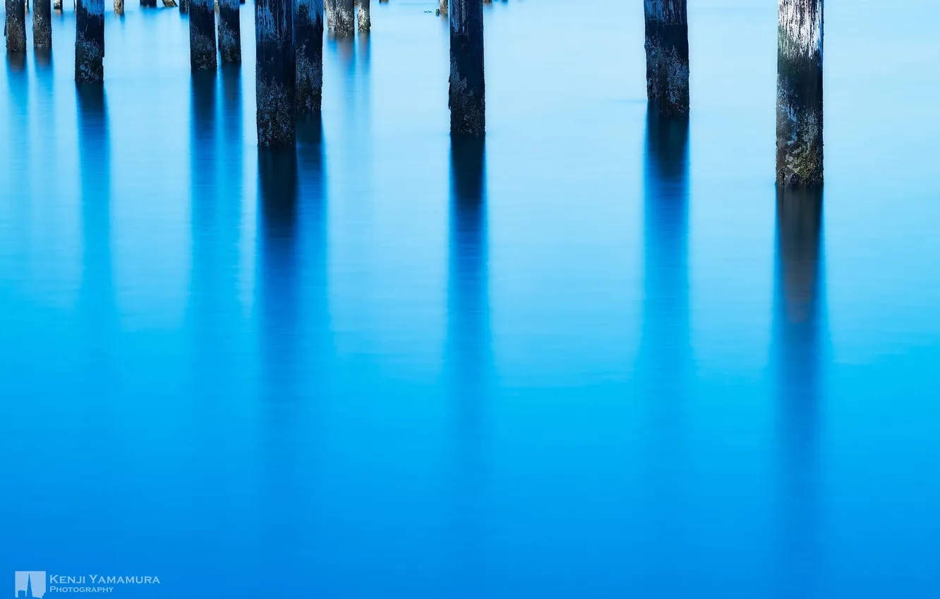 Фото обои поверхность, озеро, отражение, photographer, сваи, Kenji Yamamura