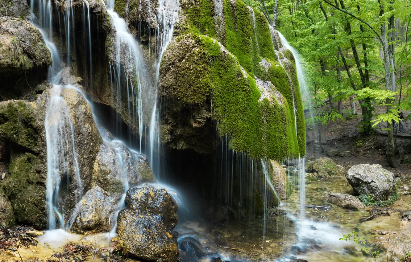 Фото обои зелень, лес, деревья, камни, водопад, мох