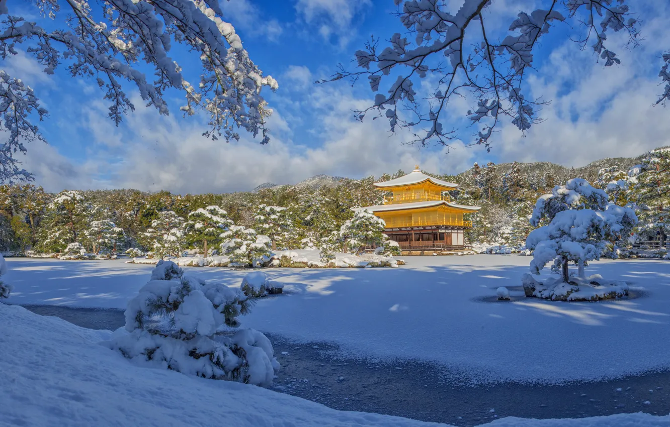 Фото обои зима, снег, деревья, пейзаж, ветки, природа, парк, Япония