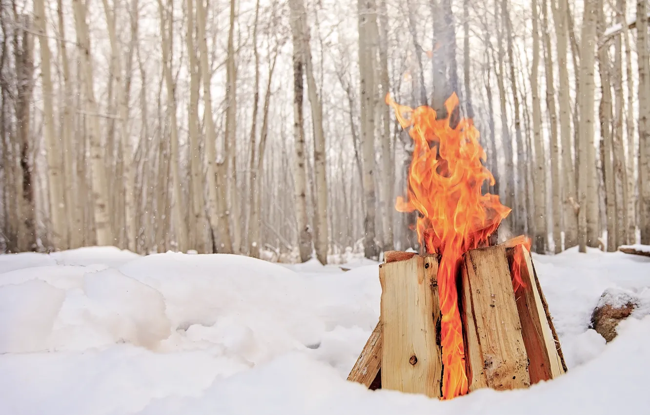 Фото обои зима, снег, огонь, костёр