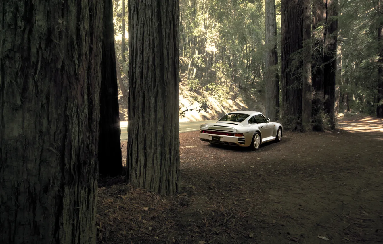 Фото обои дорога, авто, лес, деревья, суперкар, остановка, Porsche 959