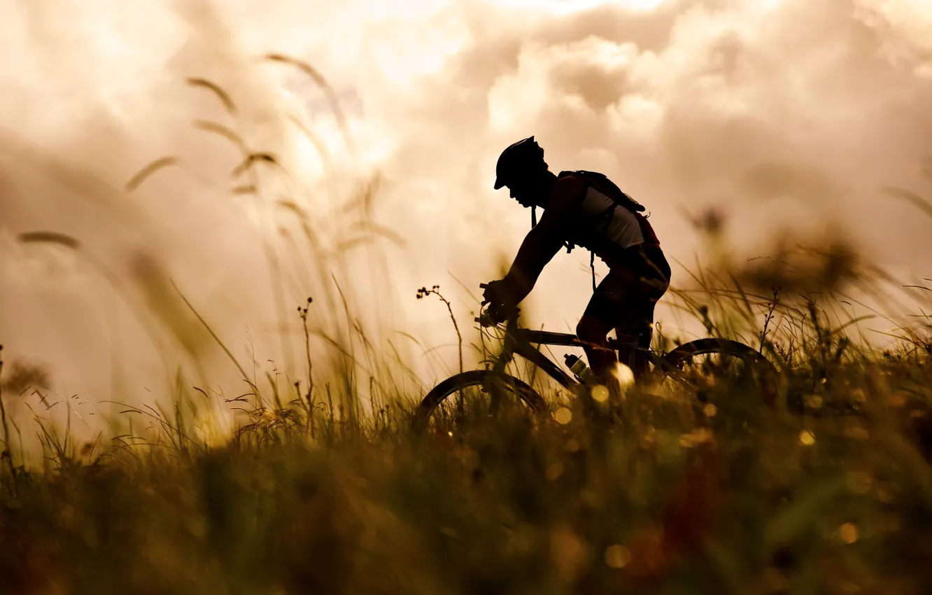 Фото обои трава, велосипед, спорт, силуэт, спортсмен