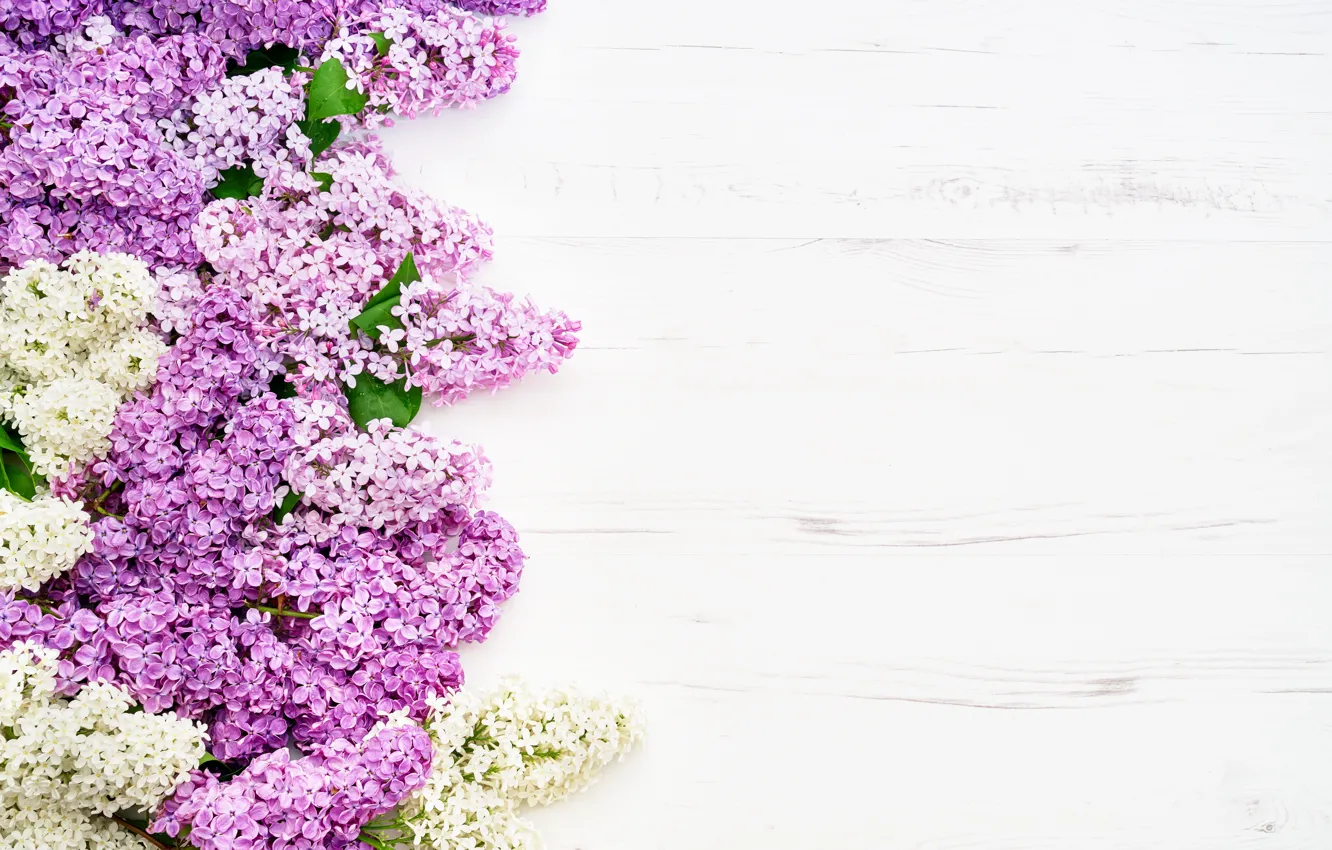 Фото обои цветы, wood, flowers, сирень, romantic, lilac