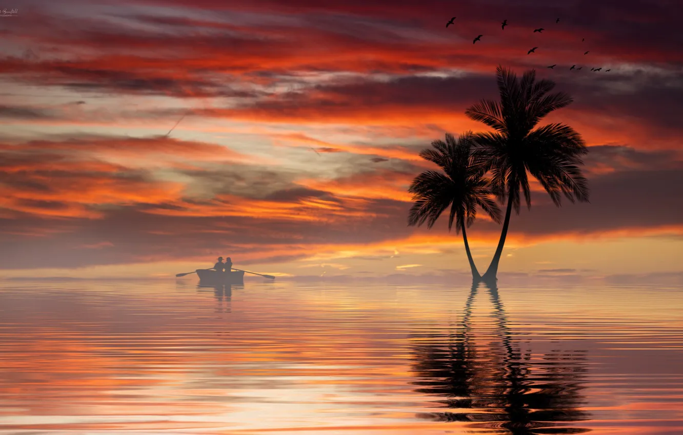 Фото обои вода, закат, пальмы