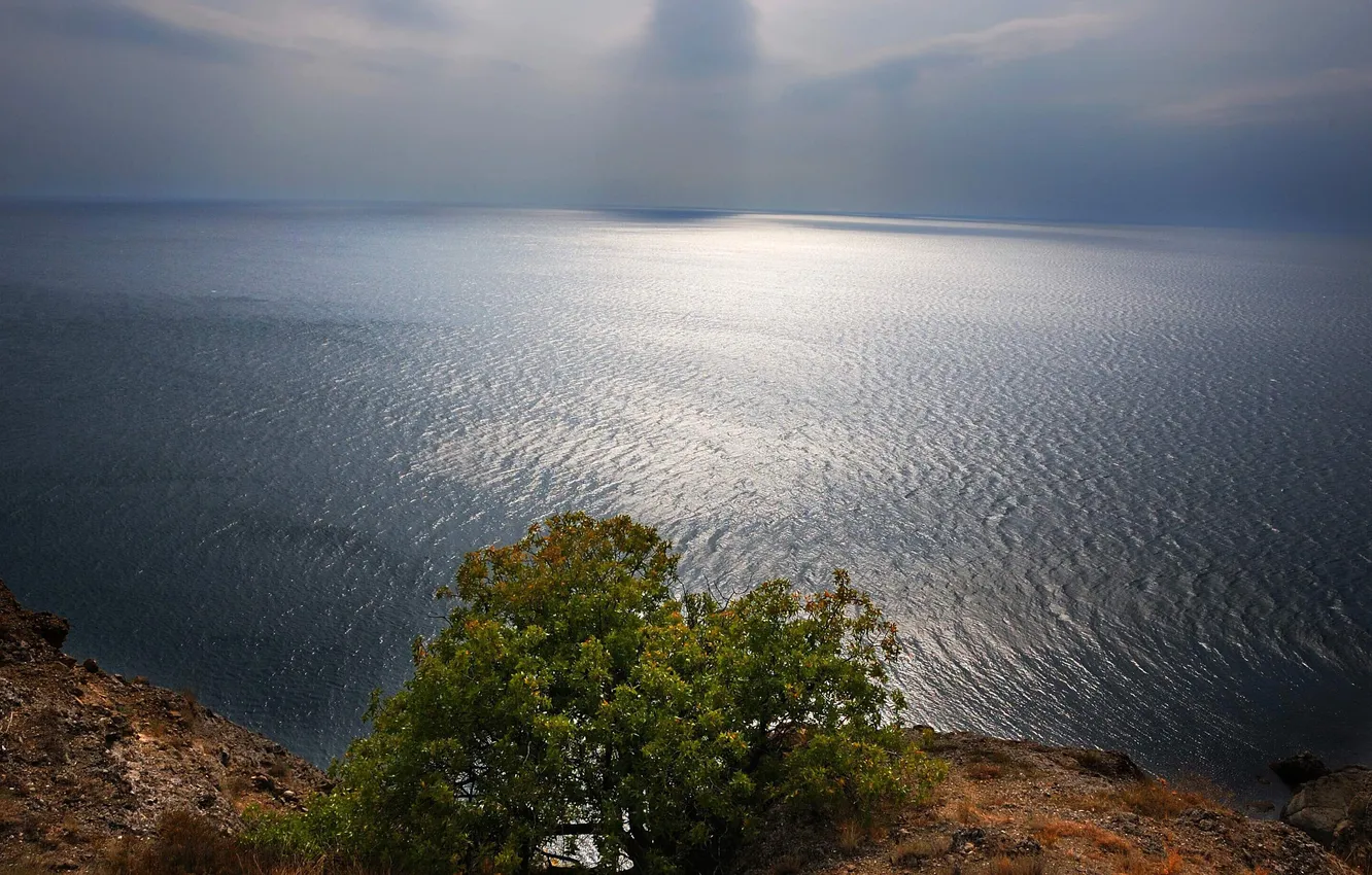 Фото обои волны, горы, дерево, горизонт, Черное, Крым