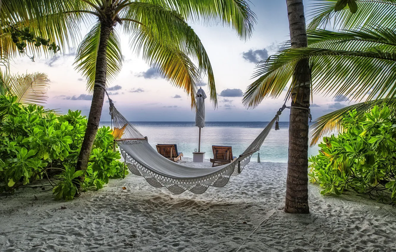 Фото обои пляж, лето, пальмы, отдых, гамак, Мальдивы, курорт
