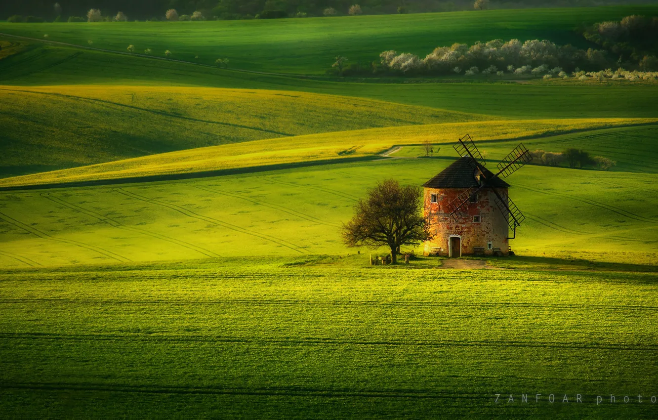 Фото обои ПРИРОДА, ТРАВА, ЗЕЛЕНЬ, РАВНИНА, ПОЛЯ, ЛУГ, ПОСЕВ, МЕЛЬНИЦА