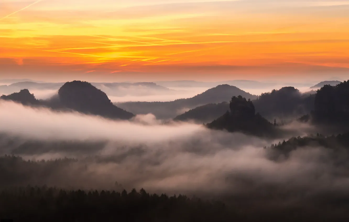 Фото обои горы, туман, утро