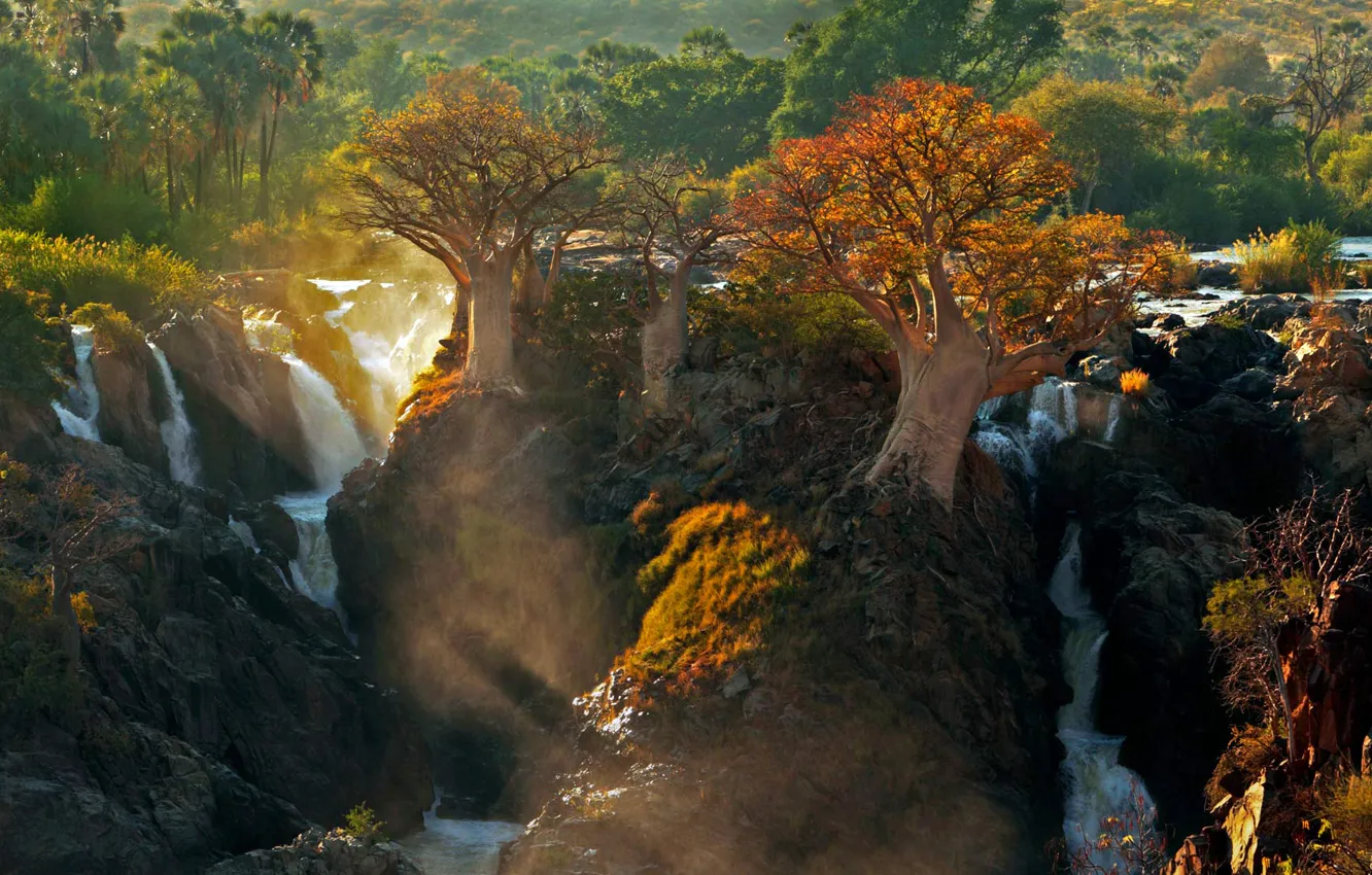 Фото обои свет, деревья, природа, Африка, река Кунене, водопад Эпупа, граница между Анголой и Намибией