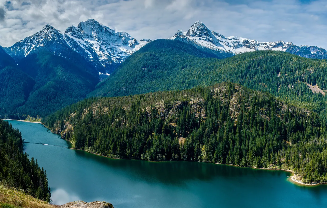 Фото обои лес, небо, облака, деревья, горы, озеро, США, Diablo Lake