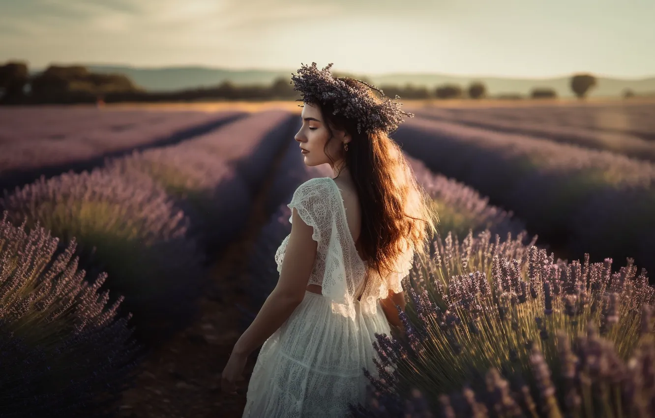 Фото обои лето, небо, девушка, солнце, свет, цветы, природа, спина