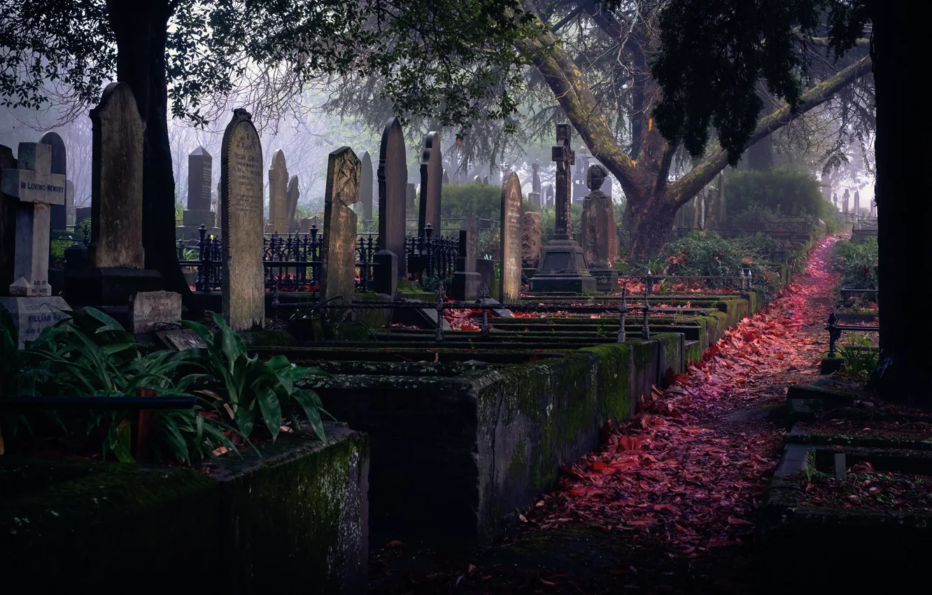 Фото обои могилы, кладбище, надгробья