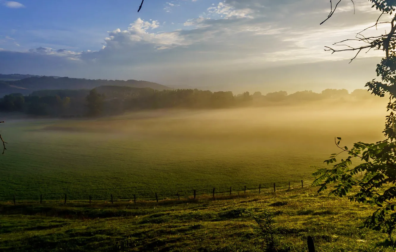 Фото обои поле, туман, утро, ограда, France, Chemin, St-Jacques, Landsky