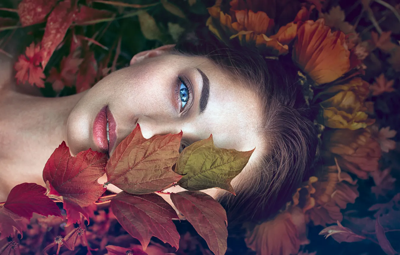 Фото обои взгляд, листья, девушка, лицо, настроение, Monica Lazar