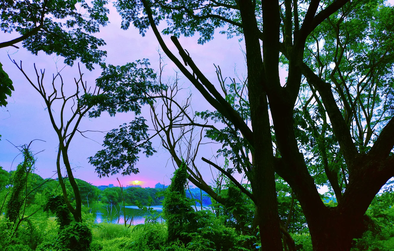 Фото обои Sky, Sun, Water, Sunrise, Dawn, Morning, Lake, Trees
