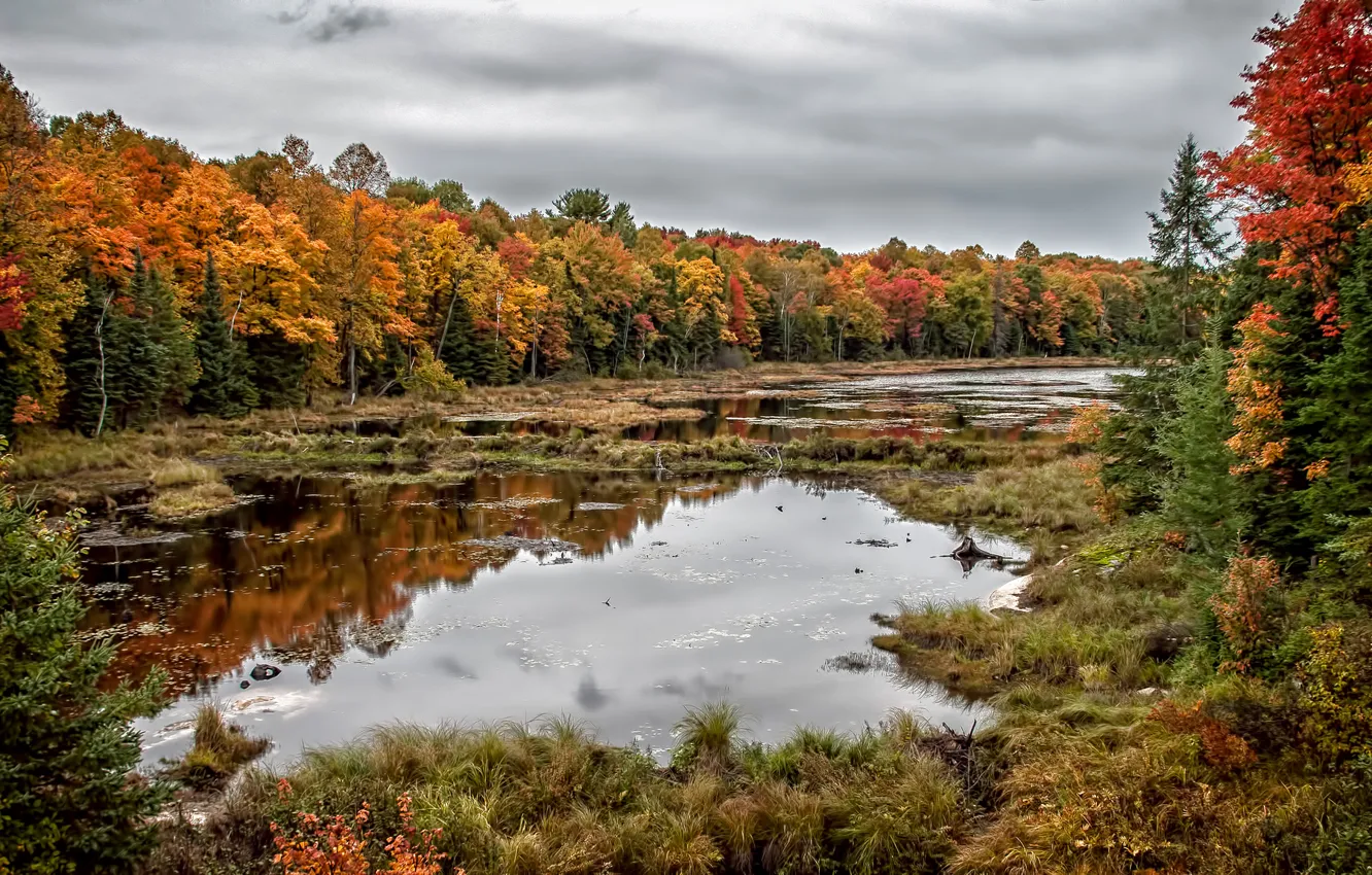 Фото обои Ontario, Autumnal Reflections, Killbear Provincial Park