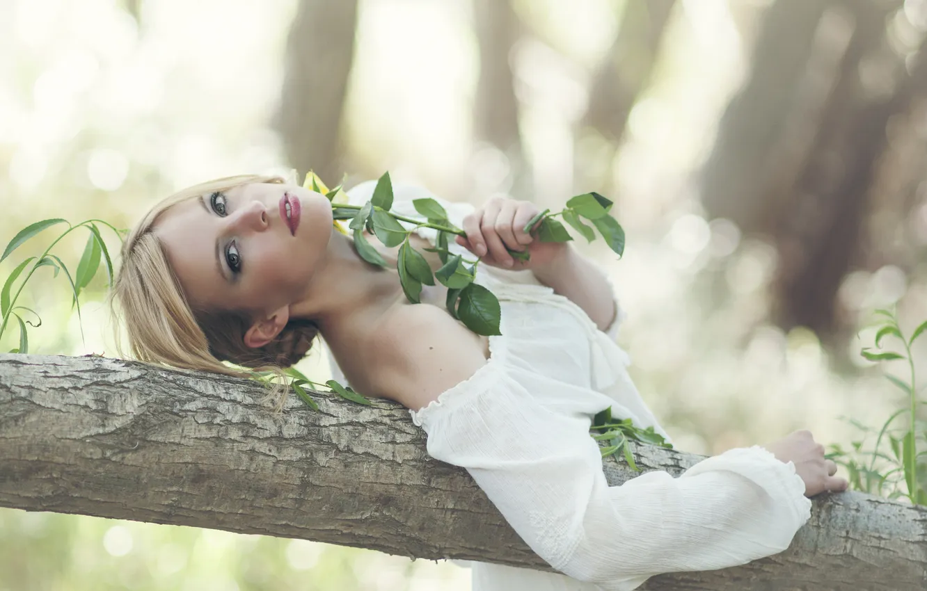 Фото обои деревья, модель, Beatriz Lorenzo