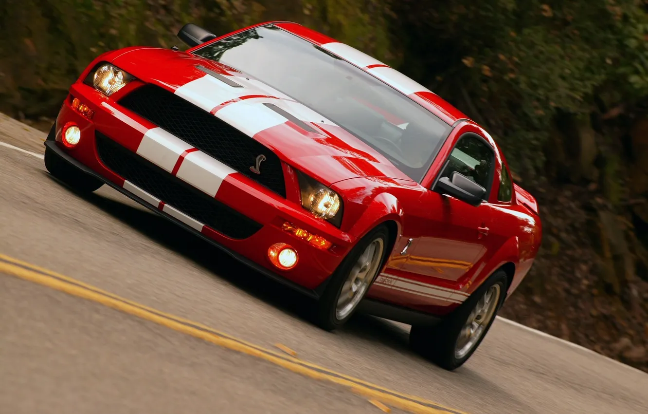 Фото обои shelby, ford mustang, gt500