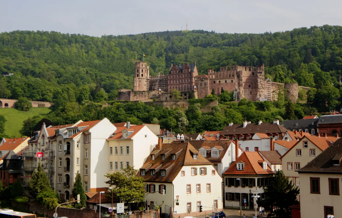 Фото обои замок, здания, дома, Германия, Germany, Баден-Вюртемберг, Baden-Württemberg, Heidelberg