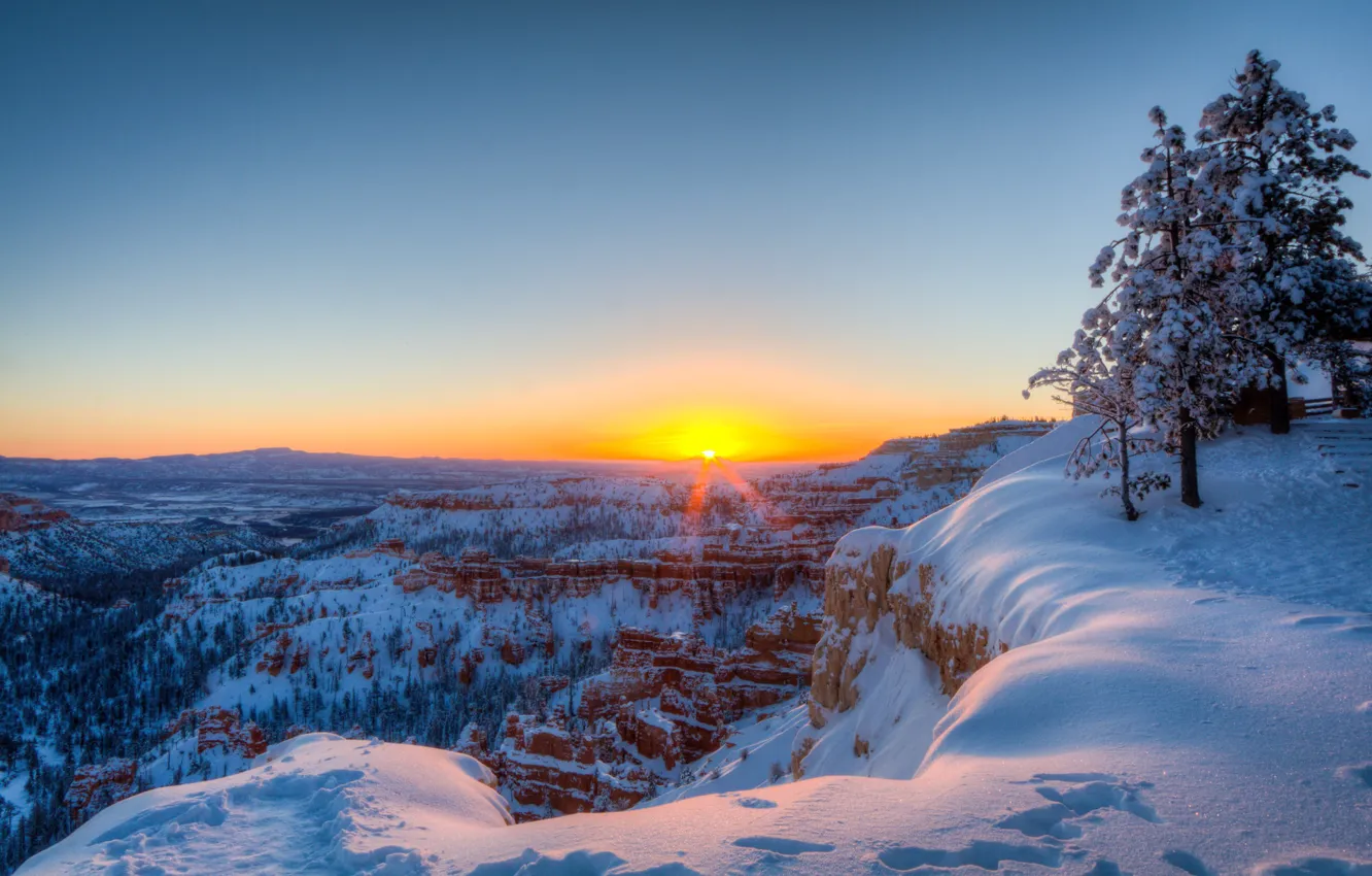 Фото обои зима, снег, деревья, восход, рассвет, утро, каньон, панорама